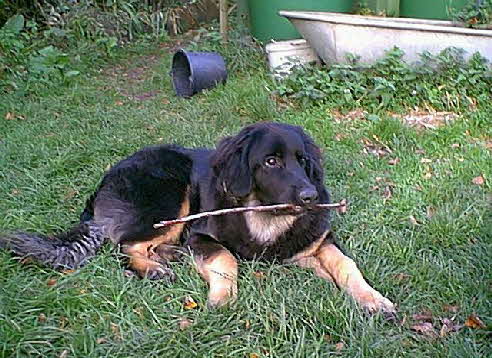 Bild117